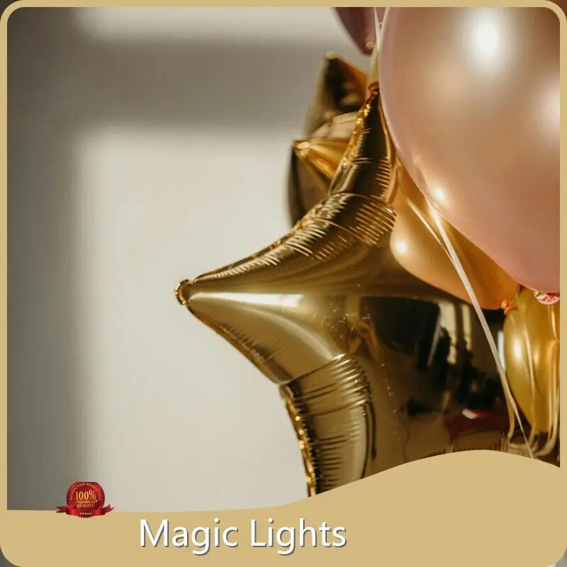 Magic Lights Festive Party Supplies Price List 1