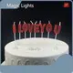 Magic Lights Birthday Candles with Letters 500000+ Birthday Candles with Letters Manufacturers 1